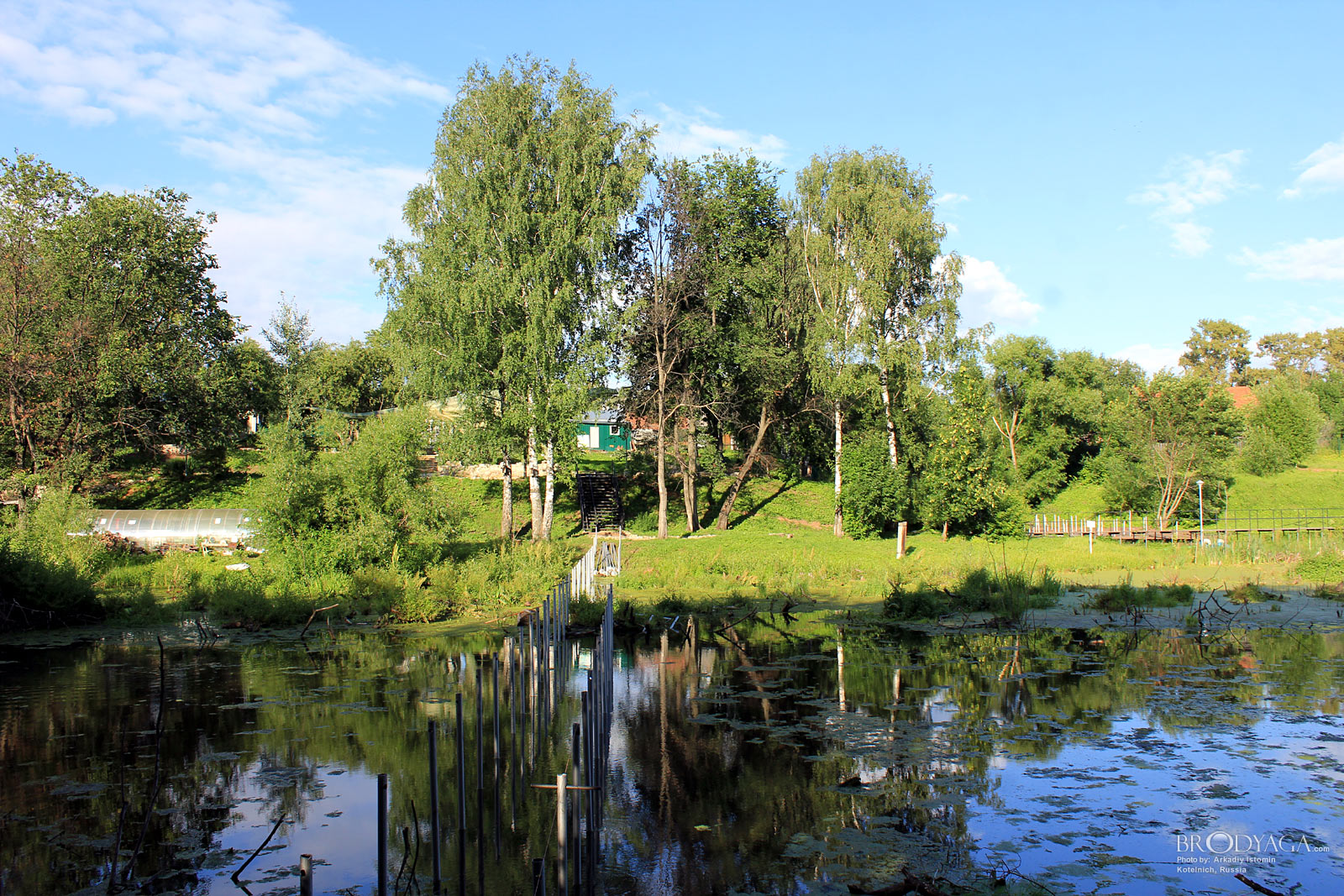 Kotelnich